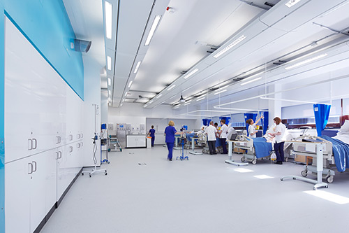 Ward School of Health Sciences