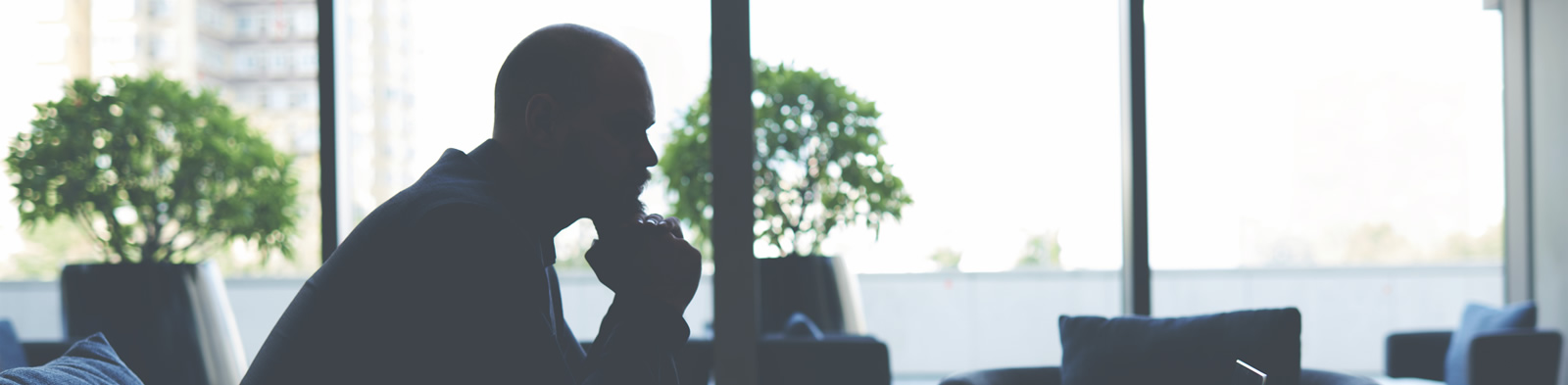 Professional services firms executive in silhouette