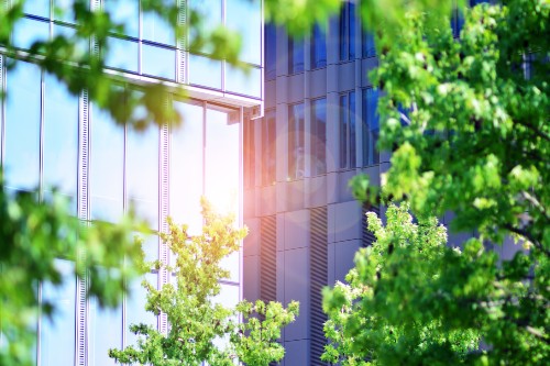 Office building in a leafy setting