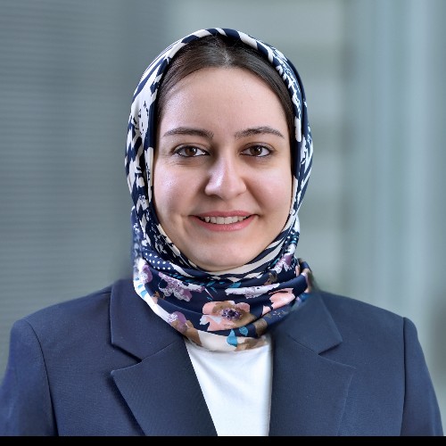 Portrait of Dr Narges Mohammadi