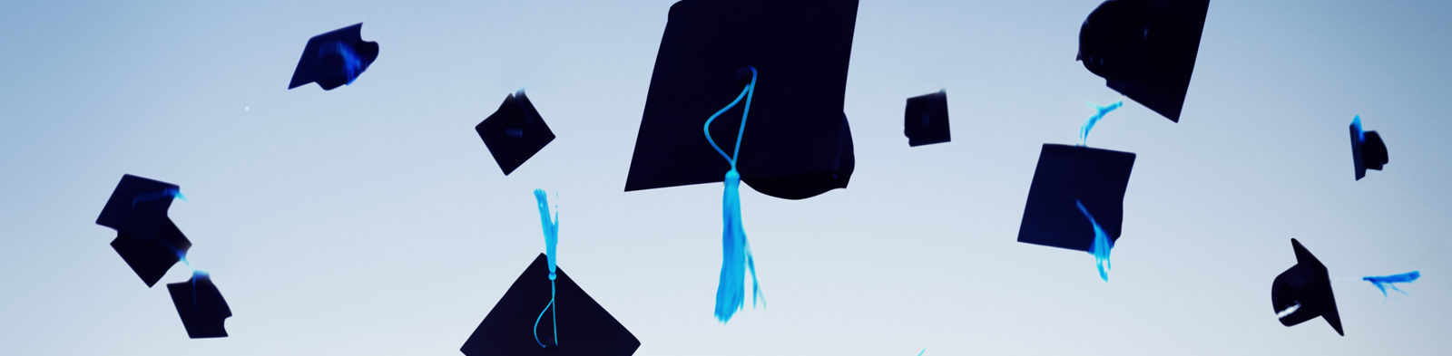 University graduation