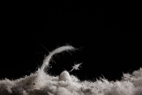 Asbestos fibres