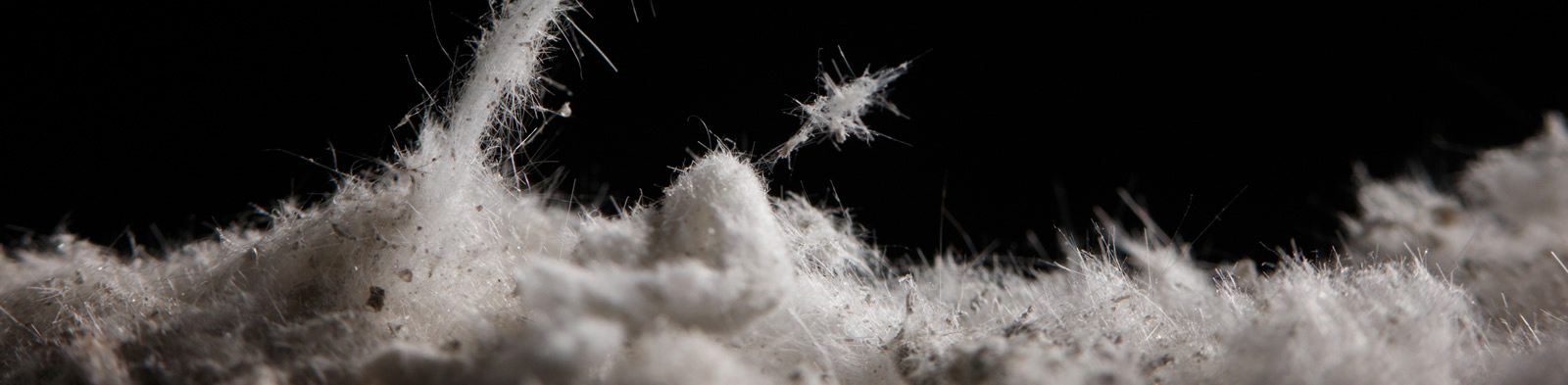 Asbestos fibres
