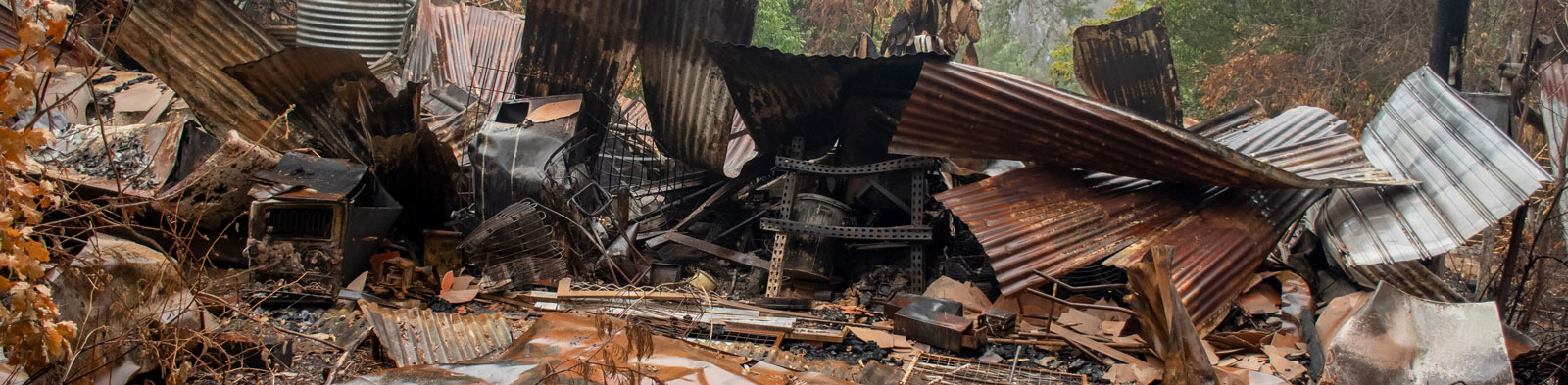 Bushfires