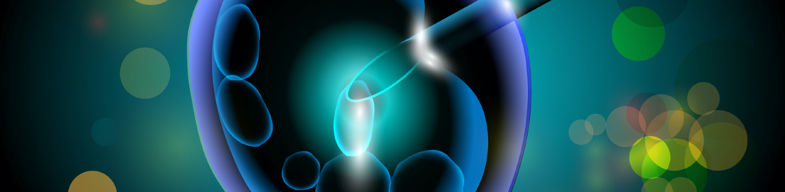 Egg fertilisation