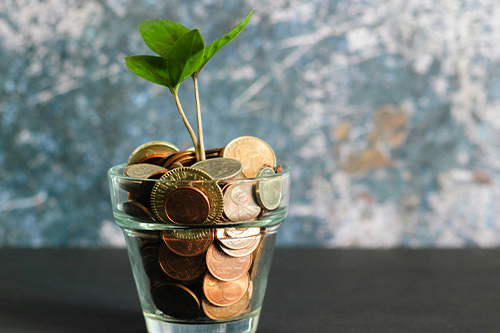 Plant growing from a glass cup full of coins