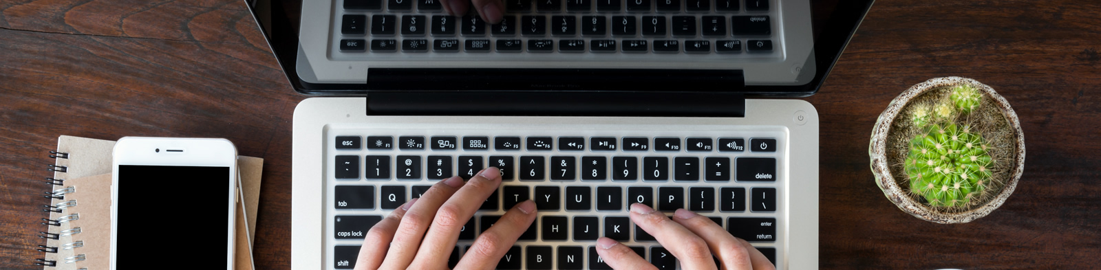 Person shopping online