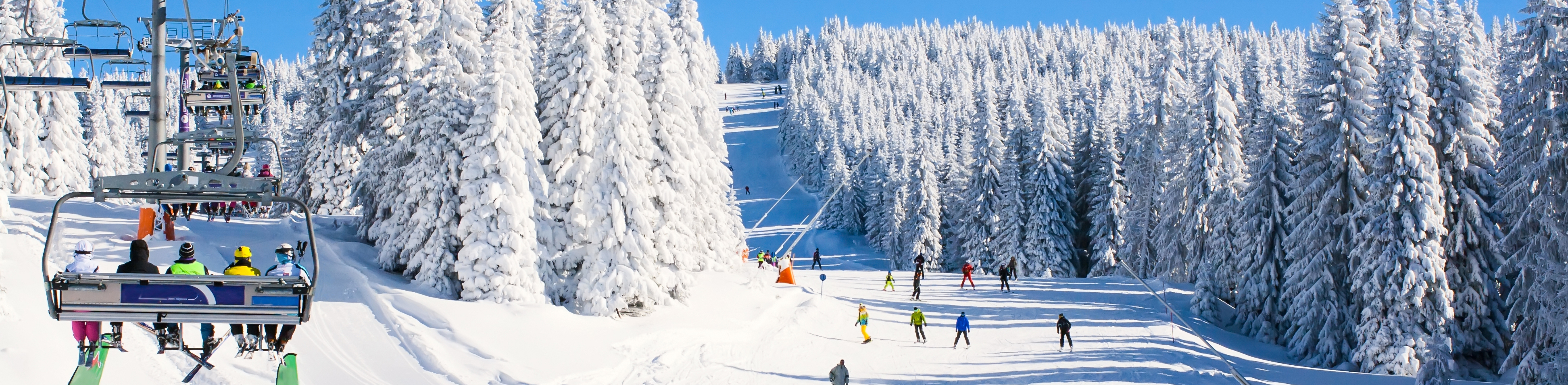 people skiing down a ski slope