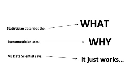 statisician describes the: what; econometrician asks: why' ML data scientist says: it just works...