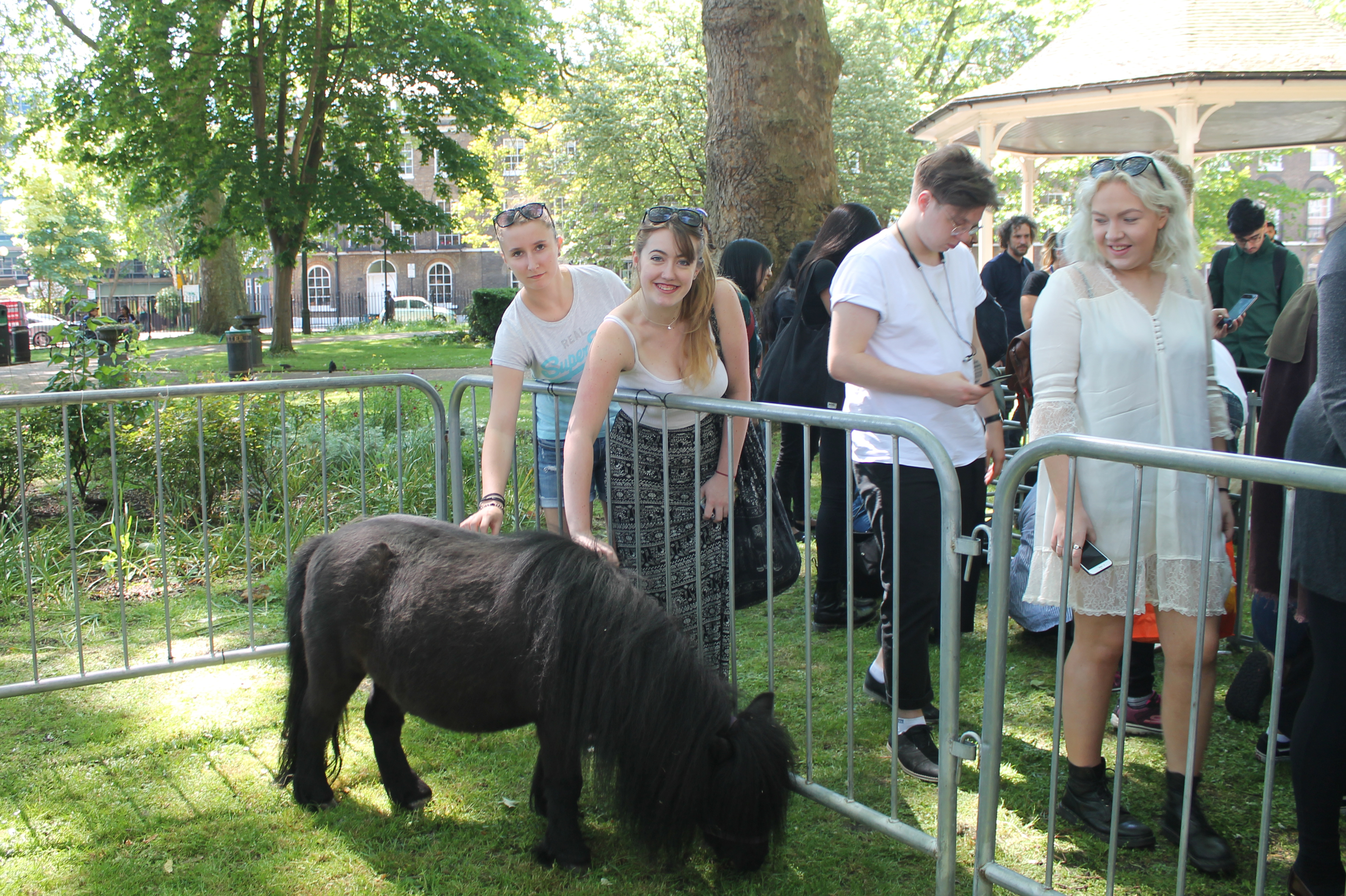 Sasha Blackmore Study Well petting zoo 