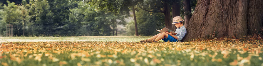A male child sits alone in a park, underneath a large tree while reading a book.