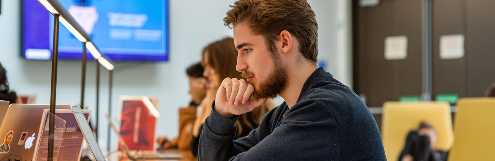 Male bayes student looking at laptop at the business school