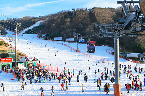 people skiing down a ski slope