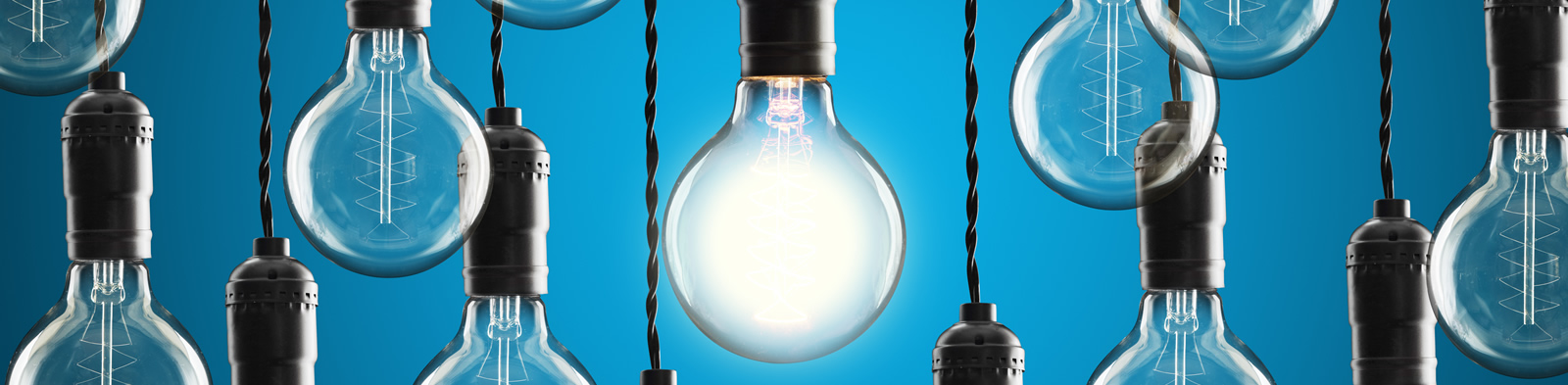A group of hanging lightbulbs