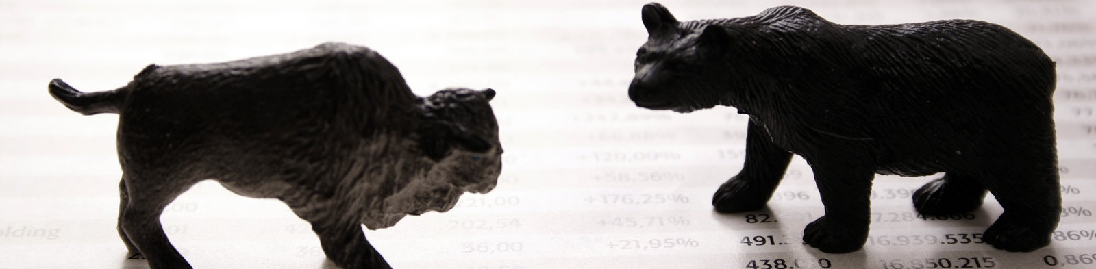 Stock Market Bull and Bear