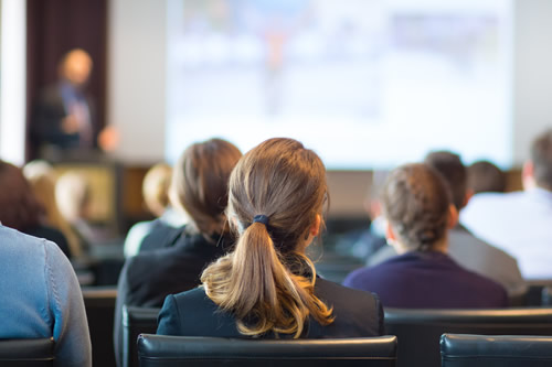 Expert leader giving a presentation