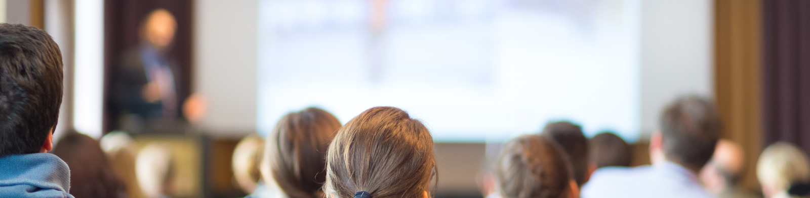Expert leader giving a presentation