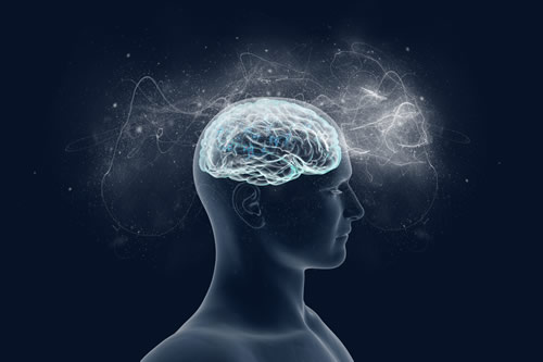 The Human Mind