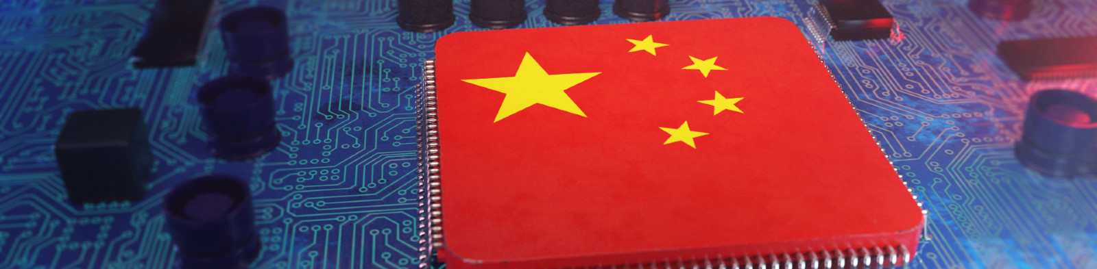 Chinese microchip